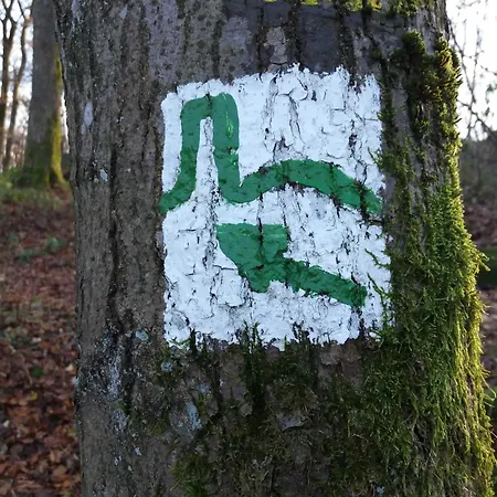 Robinson Sonnenkreisel 133 Ferienhaus *