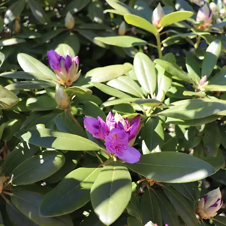 Ferienhaus Robinson Sonnenkreisel 133 Waldbrunn (Baden-Wurttemberg)